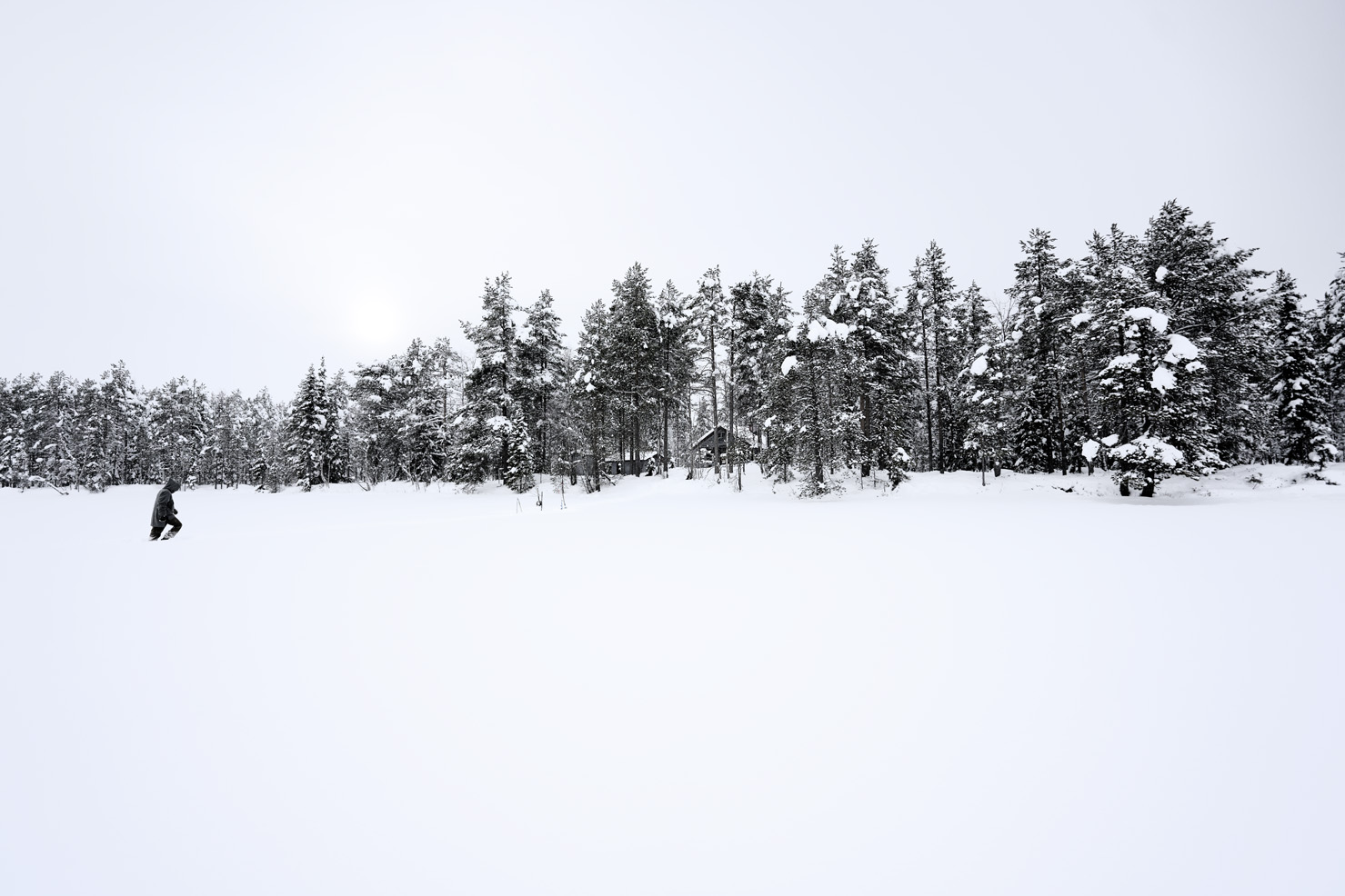  Whiteout